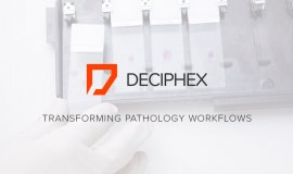 Deciphex and Charles River Laboratories Form Partnership